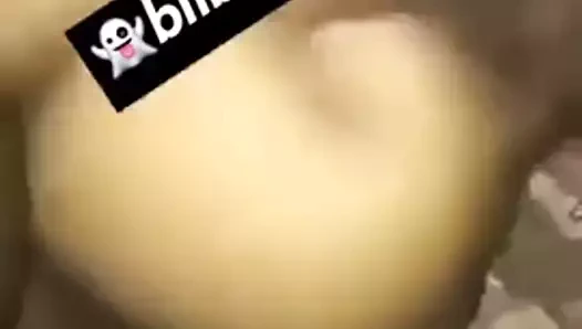 Bonne levrette metisse