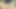 Asya kıllı kedi bebek hd