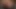 Çıplak kokular - 1985