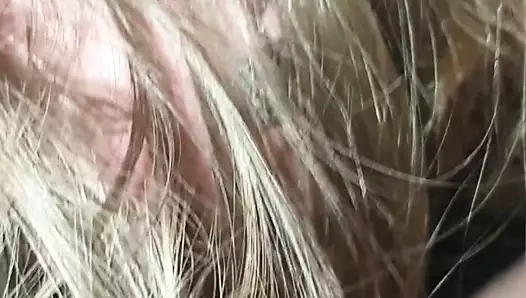 İsviçre kaltak &amp; siyah dick