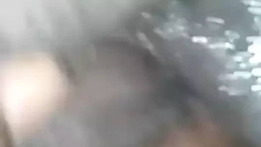 Köpekler tonoz koap klip