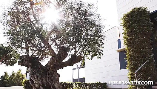 Nelly Kent erkeğine mükemmel doğum günü hediyesini vermeye hazır