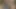 Birkaç Muhteşem aç lezbiyen ormanda birbirlerinin amlarını yalıyor