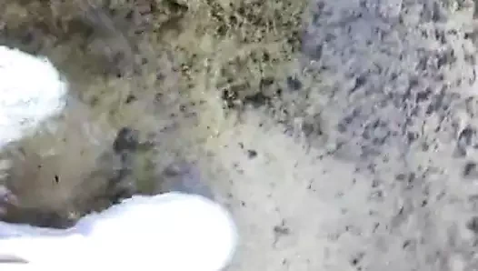 Yepyeni reebok prensesi