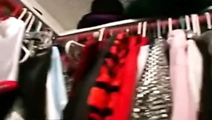 Büyük baştankara puma seçilmiş yukarı ve becerdin