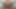 Senin için femboy hooters kenarlar