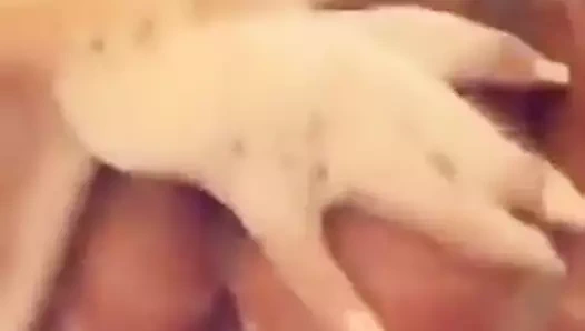 İrlandalı kızın göğüsleri