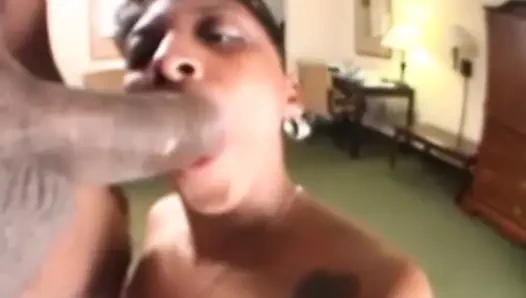 Seksi civciv emme dev siyah horoz