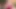 Orta yaşlı seksi kadın Simone de Marco'nun emmek ve sikişmek için iki yarağı var