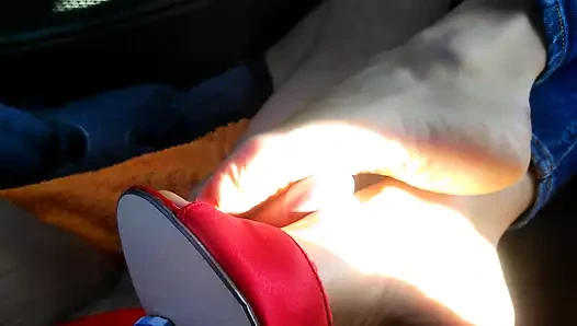 Kızıl katırlar boşalıyor