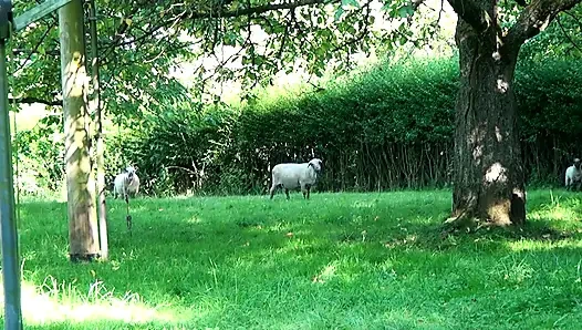 Azgın Ev Kadınları Çifte Penetrasyonlu Grup Seks Partisi