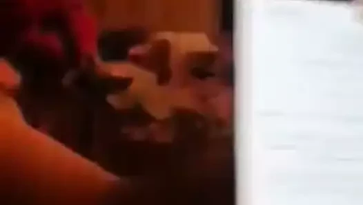 Xhamster