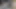 Dev zenci vücudu yalıyor