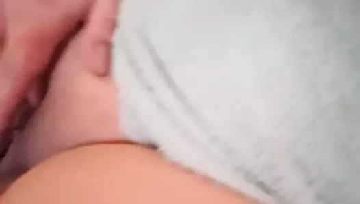 kedi