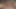 Büyük doğal memeli ve kıllı amcıklı Japon genç kız sansürsüz jav'de derin dölleniyor