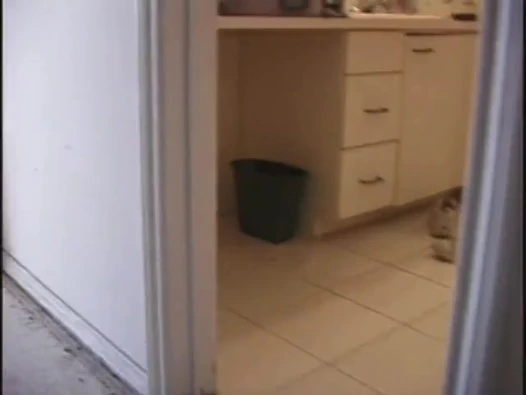 Genç fahişe berbat horoz süre Başlarken kedi yaladı