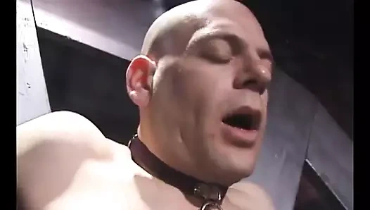 Siyah ve beyaz sahibe zindanda köleye hükmediyor