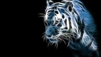 Sex Song: Knall diese Schlampe die ganze Nacht