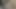 Korkak olduğunu her zaman aç için raw horoz