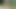 Kızlar birbirlerine işemek sonra işemek
