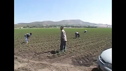 Meksikalı günahları - sahne 04