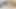 Travesti sürtük fahişe 206
