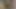 Desi bhabhi ke sath mein night mein Daru Piya
