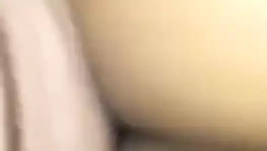 Abanoz kedi Başlarken becerdin at otel pt 2