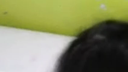 Perrito