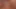 Boyforsale Austin Young yakışıklı asılı şeker dilf tarafından sert sikiliyor