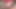 İri güzel kadın ağzına bir penis aldı ve anal için götünü çerçeveledi