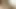 Oyunda testiler