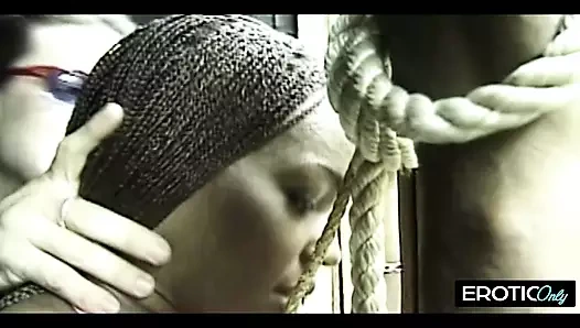 Meme çılgınlığı: en iyi koleksiyon