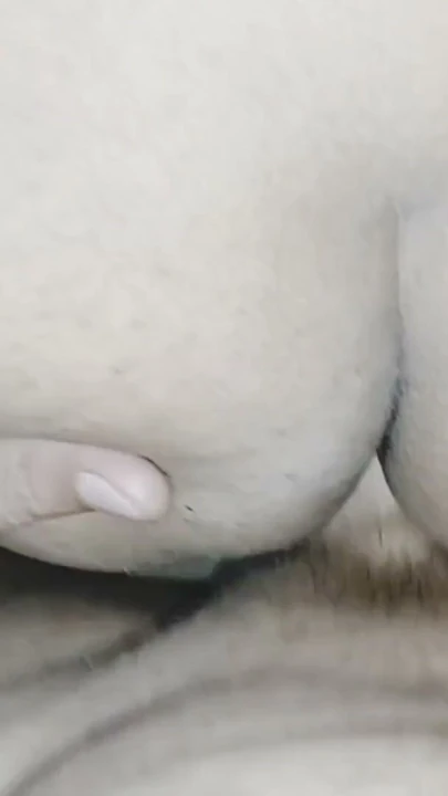 Desi Bhabi Virgin Anal Fuck First Time | Clip 1