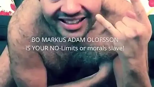 Chems2 üzerinde domuzcuk