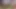 Mayolu flört eden Asyalı genç kız yaşlı beyaz fotoğrafçıyla ateşli fotoğraflar çekiyor