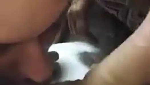 Oral seks ile iki kızlar ve boşalmak öpücük