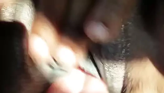 Hoodrat kedi meyve suyu