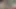 Striptiz dondurma kazananı takma yarakla katılıyor