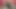 Picott'un sigara içen travesti fahişe mandy