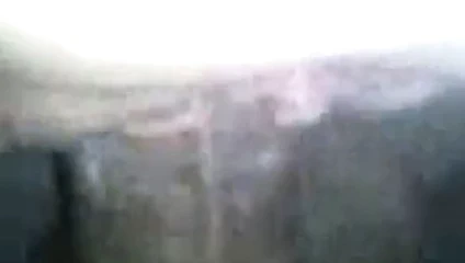 Arka koltuk kedi bbc