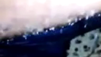 Baise Carole nitcheu