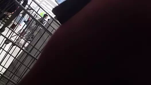 abanoz ganimet şipşak