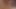 Busty genç kız öğrenci ekstra kredi için çok çalışıyor
