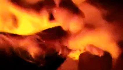 Elektrikli lollygaggerland bölüm 3