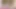 Büyük götlü sonbahar çiçekleri çıplak yoga yapıyor ve mastürbasyon yapıyor