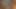 amatör anal seks video