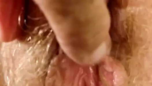 Yakın çekim kıllı kırmızı ıslak kedi