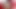 Fuckpassvr - bu vr porno videosunda asyalı milf marica hase iç çamaşırından sıyrılıyor ve amını senin yarrağına sarıyor