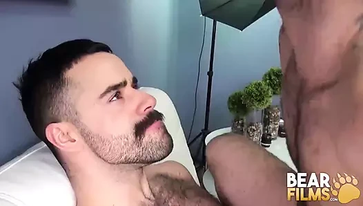 Bearfilms - kıllı yakışıklılar, haydut durumu ve oyuncak torres eyersiz